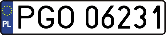 PGO06231
