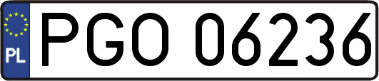 PGO06236