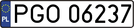 PGO06237