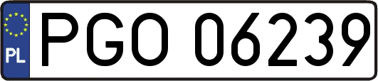PGO06239