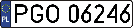 PGO06246