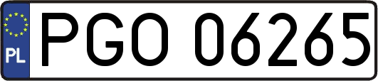 PGO06265