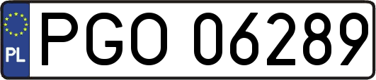 PGO06289
