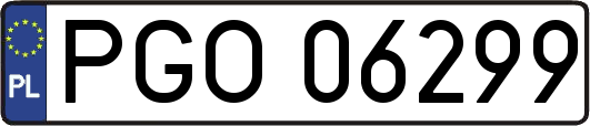 PGO06299
