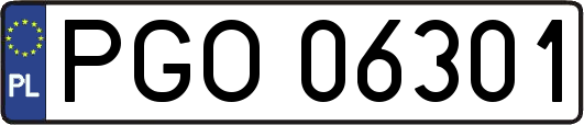 PGO06301