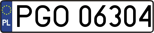 PGO06304