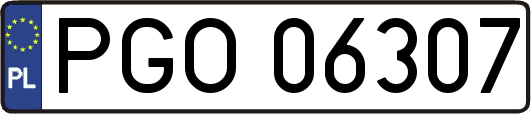 PGO06307