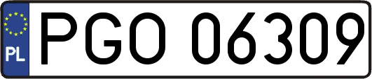 PGO06309