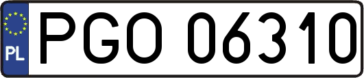 PGO06310