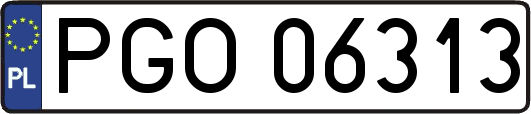 PGO06313