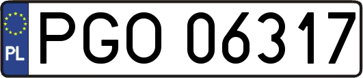 PGO06317