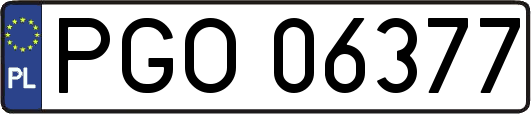 PGO06377