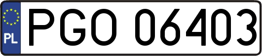 PGO06403