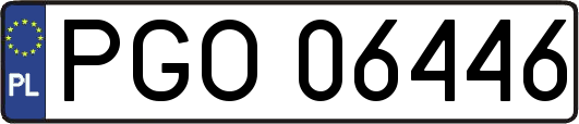 PGO06446