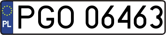 PGO06463