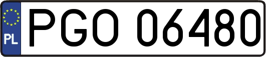 PGO06480
