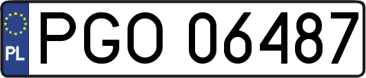 PGO06487