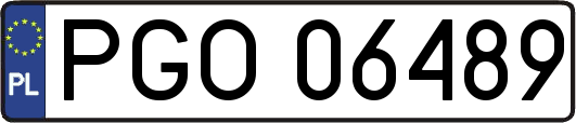 PGO06489