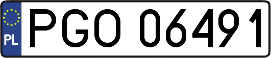 PGO06491