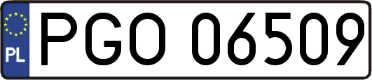 PGO06509