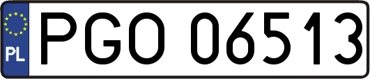 PGO06513