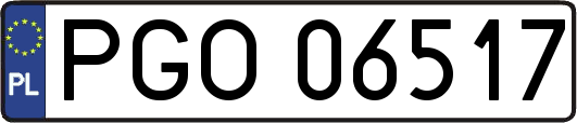 PGO06517