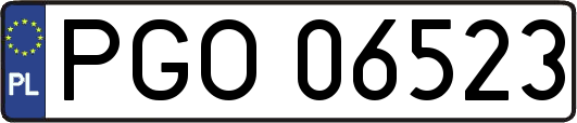 PGO06523