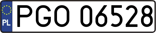 PGO06528