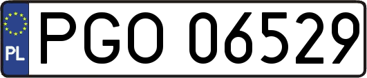 PGO06529