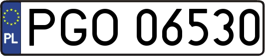 PGO06530