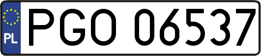 PGO06537