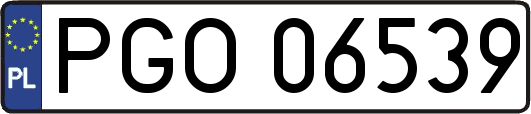 PGO06539