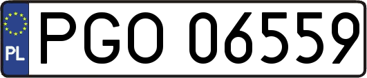 PGO06559