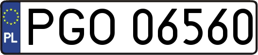 PGO06560