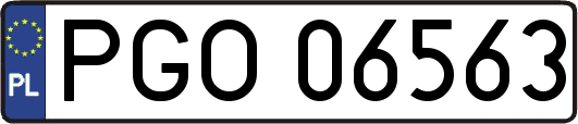 PGO06563