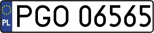 PGO06565