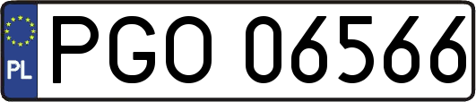 PGO06566