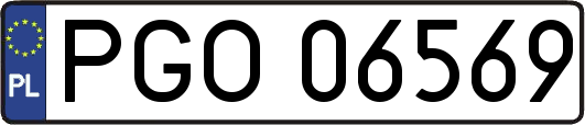 PGO06569