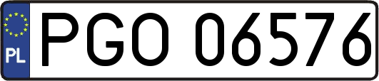 PGO06576