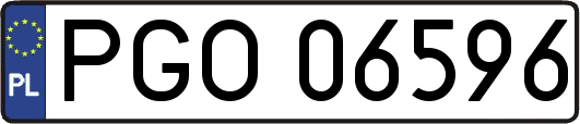 PGO06596