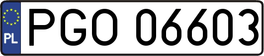 PGO06603