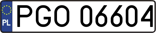 PGO06604