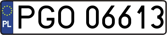 PGO06613