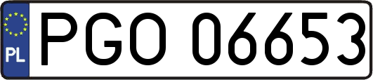 PGO06653