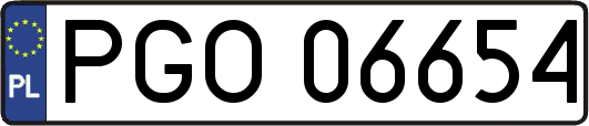 PGO06654