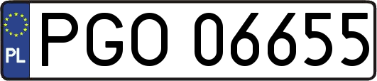 PGO06655