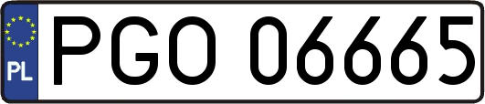 PGO06665