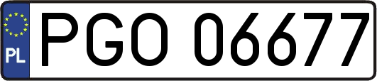 PGO06677