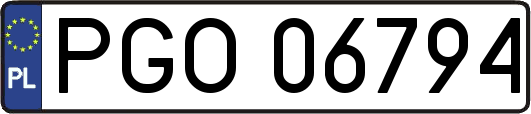 PGO06794