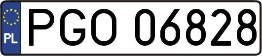 PGO06828
